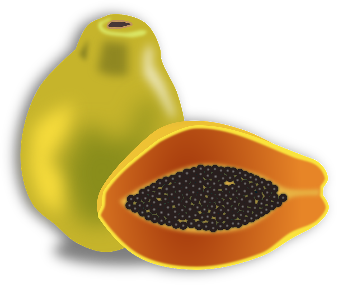 papaya